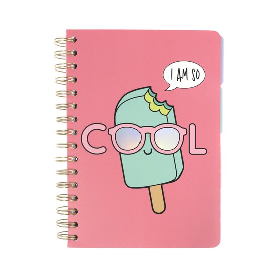 Ice Lolly Project Book A5 image number 1