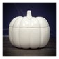 Glazed Pumpkin Jar with Lid 16.5cm image number 1