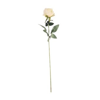 Yellow Arundel Rose 70cm