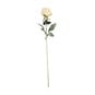Yellow Arundel Rose 70cm image number 1