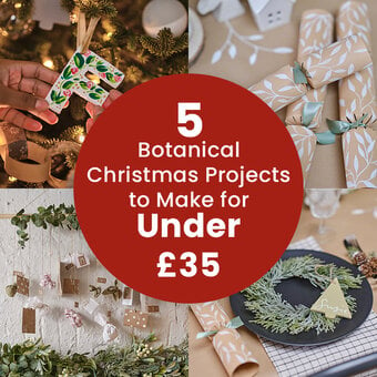 5 Botanical Christmas Projects to Make for Under £35