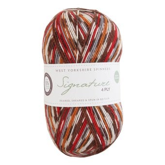 West Yorkshire Spinners Robin Signature 4 Ply Yarn 100g
