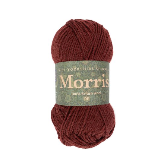 West Yorkshire Spinners Saffron Morris DK 50g image number 1