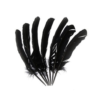 Black Feathers 7 Pack