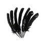 Black Feathers 7 Pack image number 1