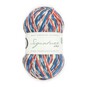 West Yorkshire Spinners Swallow Signature 4 Ply 100g image number 1