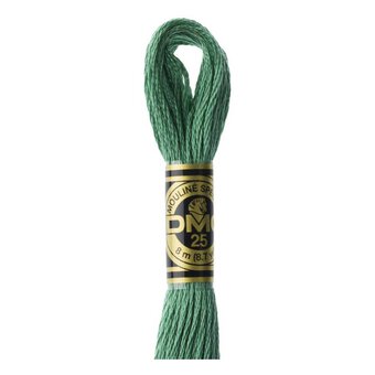 DMC Green Mouline Special 25 Cotton Thread 8m (163)