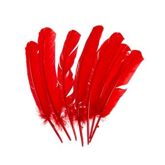 Red Feathers 7 Pack