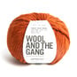 Wool and the Gang Cinnamon Dust Crazy Sexy Wool 200g image number 1