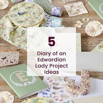 5 Diary of an Edwardian Lady Project Ideas
