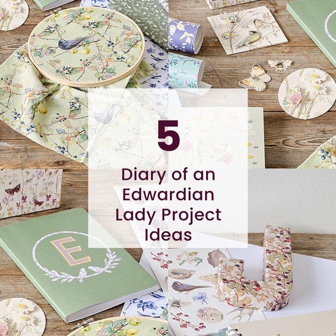 5 Diary of an Edwardian Lady Project Ideas image number 1
