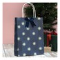 Winter Solstice Gift Bag 21cm x 28cm image number 1