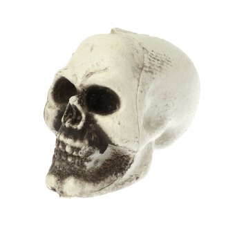 Skeleton Heads 5 Pack