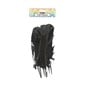 Black Feathers 7 Pack image number 4