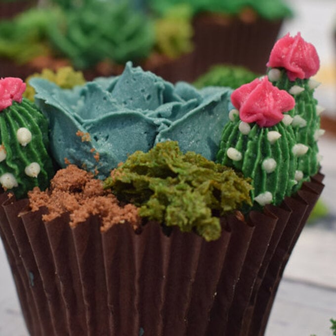 How to Decorate Cactus Cupcakes image number 1