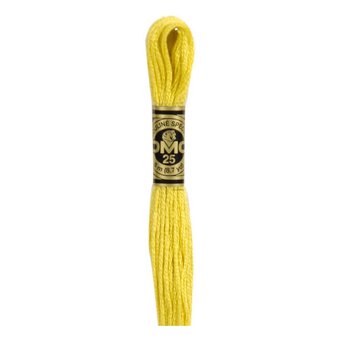 DMC Yellow Mouline Special 25 Cotton Thread 8m (018)