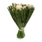 White Natural Dried Bouquet 25cm  image number 1