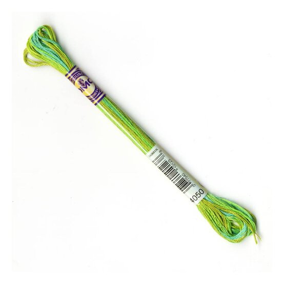 DMC Green Mouline Variegated Cotton Thread 8m (4050) image number 1