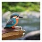 Eugy 3D Kingfisher Model image number 2