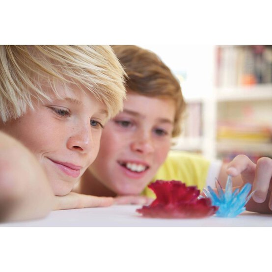 Crystal Growing Experimental Kit image number 3