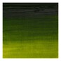Winsor and Newton Artists Oil Colour Rose Sap Green 37ml image number 2