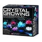 Crystal Growing Experimental Kit image number 1