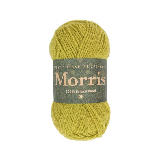 West Yorkshire Spinners Artichoke Morris DK 50g  image number 1
