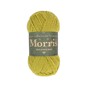 West Yorkshire Spinners Artichoke Morris DK 50g  image number 1