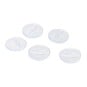 Hemline Clear Basic Fish Eye Button 4 Pack image number 1