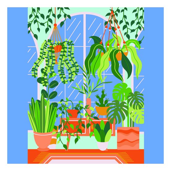 House Plants Paint by Numbers Canvas Roll image number 3