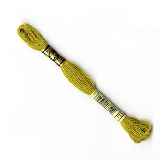 DMC Green Mouline Special 25 Cotton Thread 8m (733)