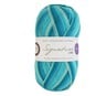 West Yorkshire Spinners Seascape Signature 4 Ply 100g image number 1