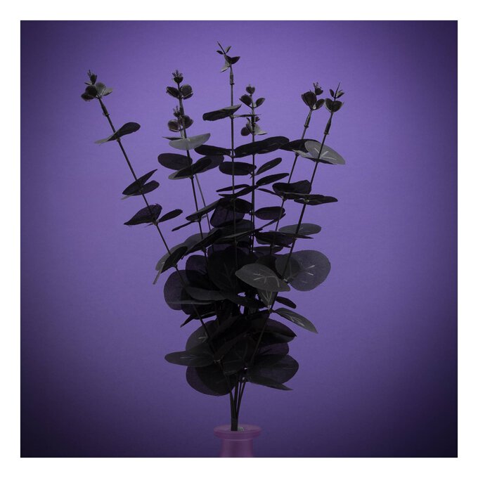 Black Eucalyptus Stem 46cm image number 1