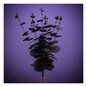 Black Eucalyptus Stem 46cm image number 1