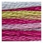 DMC Pink and Yellow Coloris Mouline Cotton Thread 8m (4502) image number 2