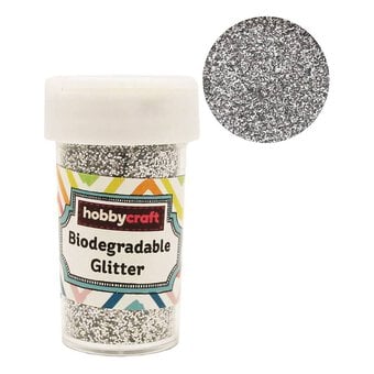 Silver Biodegradable Glitter Shaker 20g