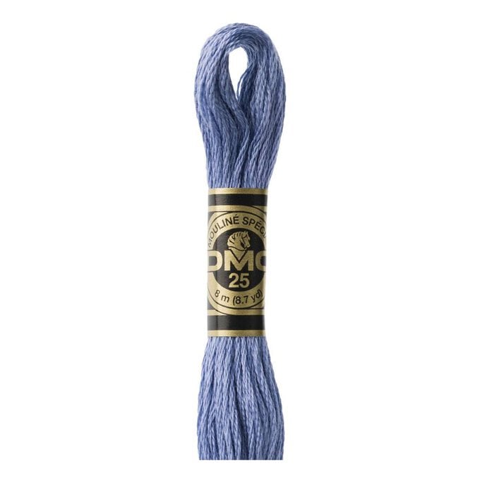 DMC Blue Mouline Special 25 Cotton Thread 8m (160) image number 1
