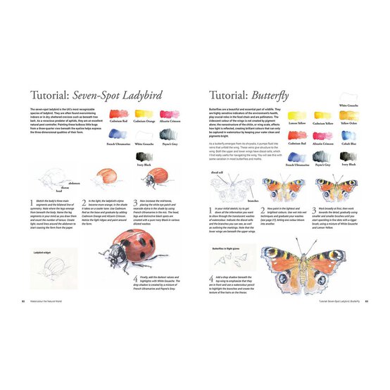 Watercolour the Natural World image number 5