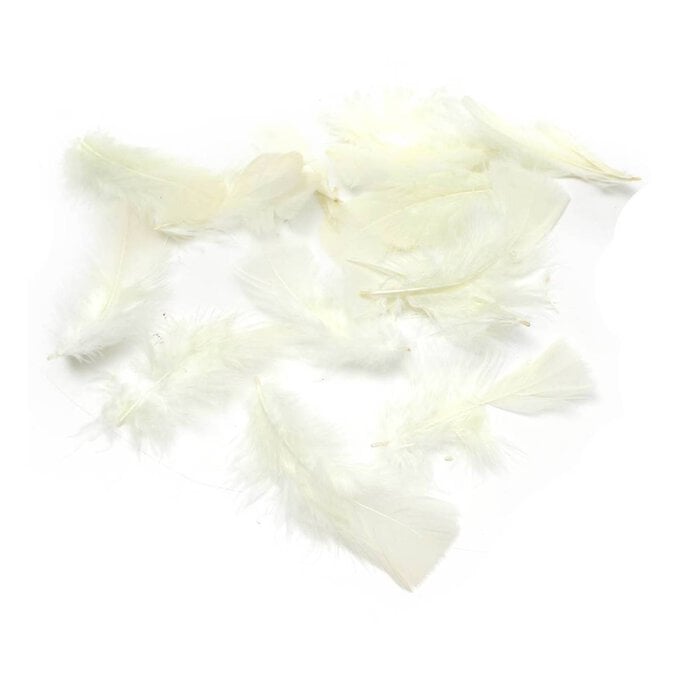Ivory Craft Feathers 5g image number 1