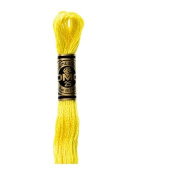 DMC Yellow Mouline Special 25 Cotton Thread 8m (307)