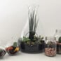 How to Make a Terrarium image number 1