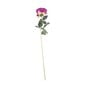 Mauve Arundel Rose 70cm image number 1