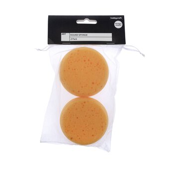 Small Synthetic Round Sponge 2 Pack