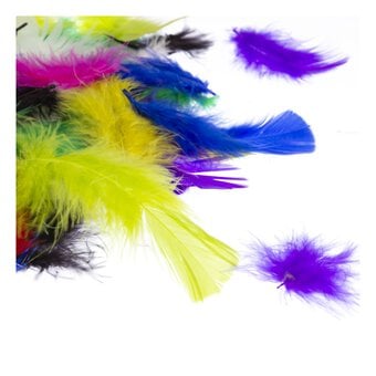 Craft Feathers Bumper Pack 20g image number 3