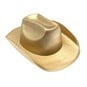 Gold Metallic Cowboy Hat  image number 3