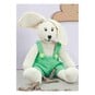 FREE PATTERN Lenny The Bunny image number 1