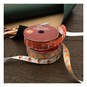 Pumpkin Printed Ribbon 10mm x 3m image number 3