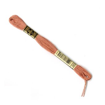 DMC Brown Mouline Special 25 Cotton Thread 8m (3859)