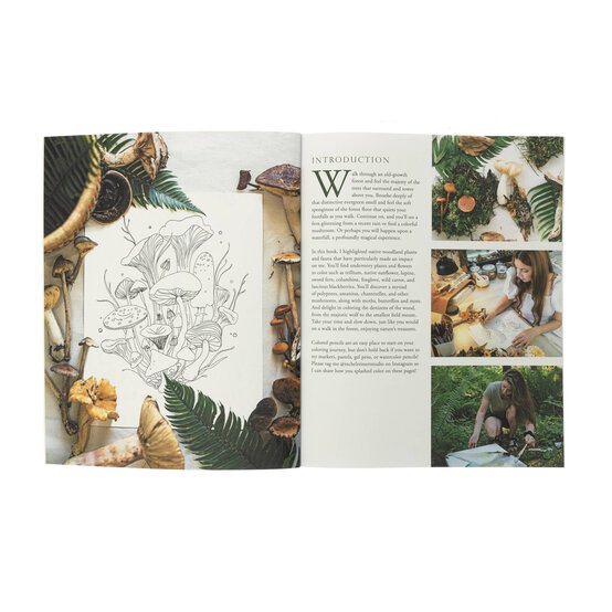 Woodland Wonderland image number 2