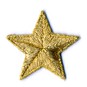 Star Iron-On Patch 4cm x 4cm image number 1